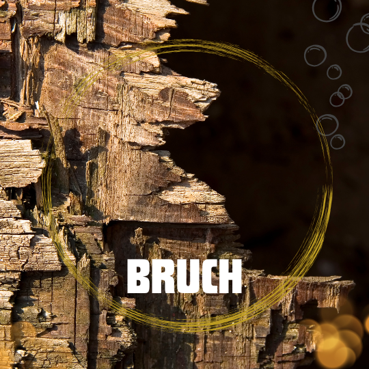 Kapitelbild Bruch aus dem Gedichtband Nach Zwölf